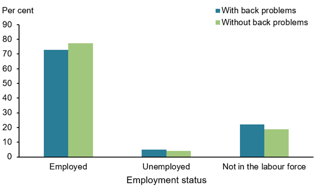 The vertical bar chart shows that there was very little difference in the workforce participation of 15–64 year olds with and without back problems. Slightly less people with back problems were employed (73%25) compared with people without back problems (77%25), and a similar proportion of people with back problems were unemployed (5%25) or not in the labour force (22%25) compared with people without back problems (4%25 and 19%25 respectively).