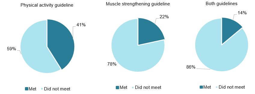 These 3 pie charts show that 41%25 of women met the guideline for physical activity, 22%25 met the guideline for strength and toning (78%25 did not), and 14%25 met the guidelines for both physical activity and strength and toning (86%25 did not).