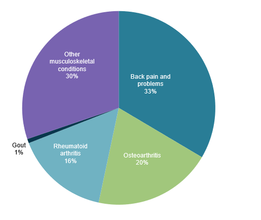 This figure shows that over one-third (36%) of the total burden from musculoskeletal conditions was due to osteoarthritis and rheumatoid arthritis.