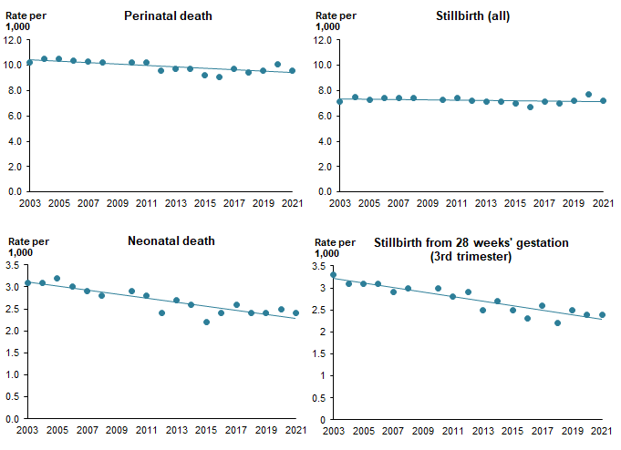 Rates of neonatal death, stillbirth, stillbirth in third trimester, and overall perinatal mortality over the period from 2003 to 2021.