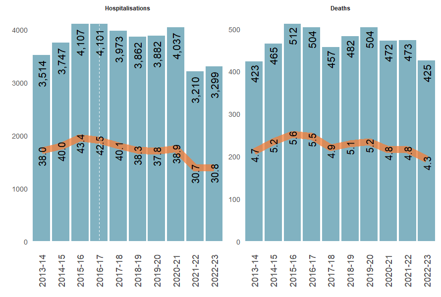 Trends of numbers of women’s injury hospitalisations and deaths showing decrease in accidental poisoning injury hospitalisations since 2017–18 and slight decrease in homicide death rates over last 10 years.