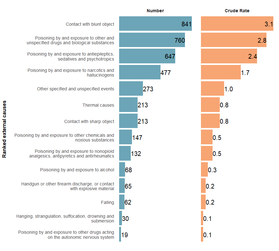 The top external causes of injury, by number and crude rate, ranked from highest to lowest.