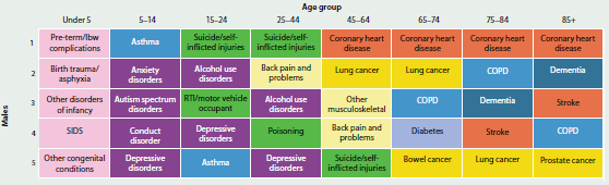 Figure showing the leading causes of total burden in males by age in 2011. They are: pre-term/lbw complications (under 5), asthma (5-14), suicide/self-inflicted injuries (15-44) and coronary heart disease (45-85+).