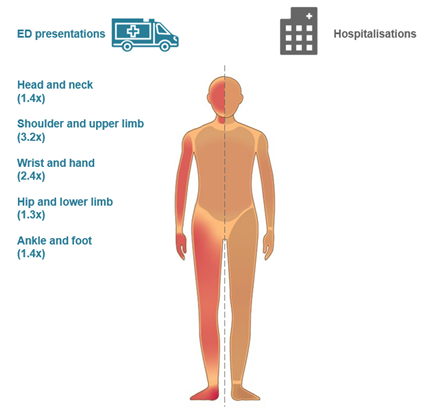 An infographic showing a human body, with injury regions highlighted where children aged 10-12 are more likely than adults to be hospitalised.