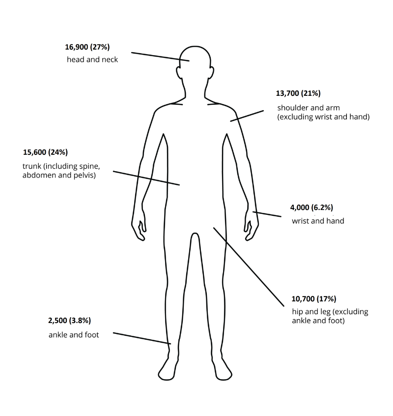 The visualisation features an outline of a person with labels for body parts accounting for hospitalisations due to transport crashes. Injuries to the head and neck accounted for the most hospitalisations, while the ankle and foot accounted for the fewest