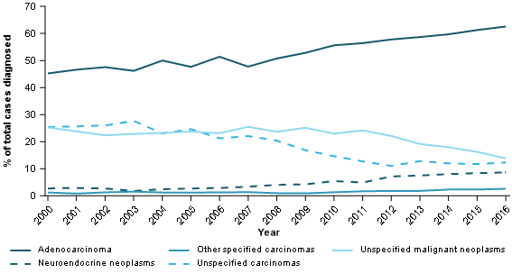 Figure 9 shows the proportion of pancreatic cancer cases diagnosed by histology type from 2000 to 2016. Focussing on the more common histology types, adenocarcinoma increases from 45%25 of all cases in 2000 to 63%25 in 2016. Unspecified carcinomas and unspecified malignant neoplasms both decreased during the period (from 25%25 in 2000 to 12%25 in 2016 and 25%25 to 14%25 respectively). Neuroendocrine neoplasms increased from 2.7%25 of all pancreatic cancers diagnosed in 2000 to 8.6%25 in 2016.