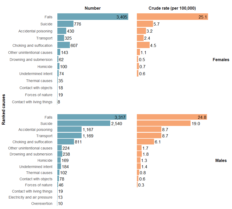 Figure 20 shows ranked numbers and crude rates of injury deaths, by causes and sex. Falls were the top cause of injury deaths for both sexes